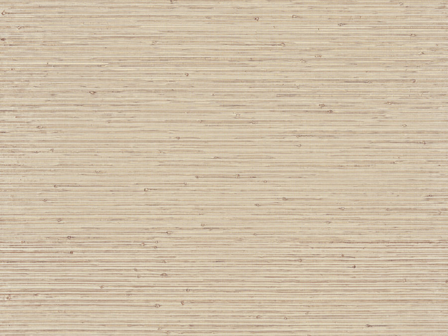 NEW – Light at night lan221